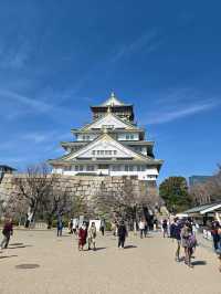 A Majestic Journey Through Time: Osaka Castle