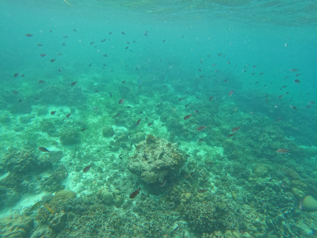 【セブ島・アイランドホッピング】  エメラルドの海をボートで駆け抜けて、南国の離島を巡る旅