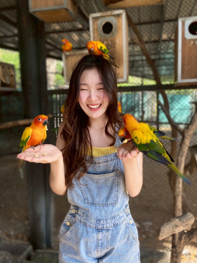 สวนอูฐ ชะอำ (Camel Republic) 🐫🦜