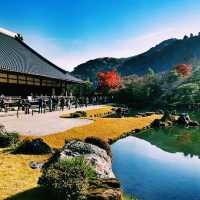 Zen in Bloom: Discovering Tenryu-ji Temple in Kyoto