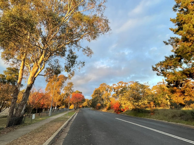 Armidale's winter