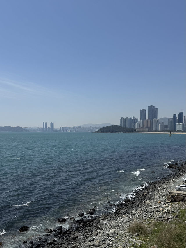 해운대의 해외감성🤍🌊🐟🐡