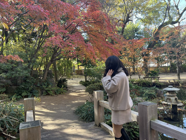 후쿠오카 도심 속 옛 일본 정원 ‘라쿠스이엔’