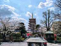 Tokyo – A City of Infinite Layers