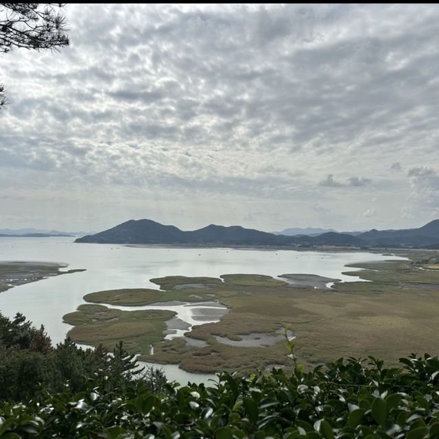 スンチョン湾湿地