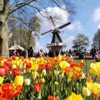 A Blooming Wonderland at Keukenhof Gardens 🌷