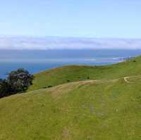 Mount Tamalpais State Park – Mill Valley, CA