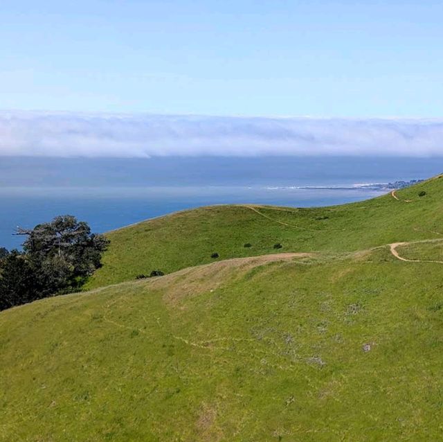 Mount Tamalpais State Park – Mill Valley, CA