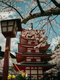 Hakone Escapes – Where Nature, Art, and Hot Springs Embrace You