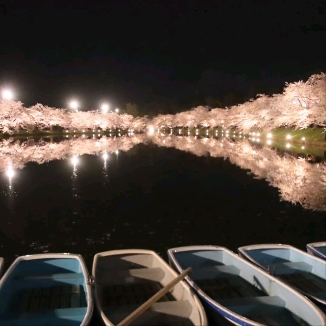 Cherry Blossom Magic After Dark