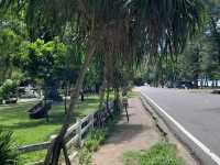 สวนพฤกษศาสตร์บ้านเพ