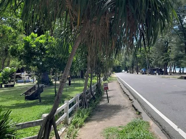 สวนพฤกษศาสตร์บ้านเพ