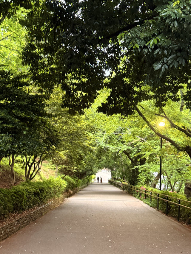 香川｜激增戀愛運的心石與日本最高的石垣 丸龜城探秘