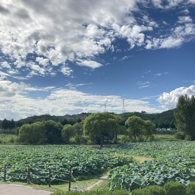 공주 1빅 2일 여행코스 🩵