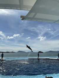 【香川】海辺のカフェと水族館🐬旅の締めはうどんでキメる！