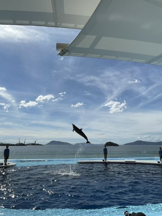 【香川】海辺のカフェと水族館🐬旅の締めはうどんでキメる！
