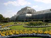 Kew Royal Botanic Gardens – A Golden Autumn Escape in London