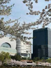 Seokchon Lake- Seoul 