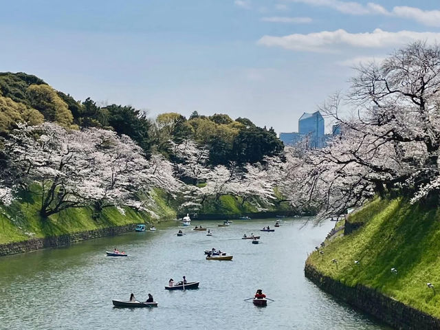 CHIDORIGAFUCHI RYOKUDO | TOKYO’S PICTURESQUE MOAT OF BLOSSOMS