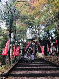 【京都・山科】  知る人ぞ知る絶景寺院「毘沙門堂門跡」で、静かで美しい京都時間を🍁🌸