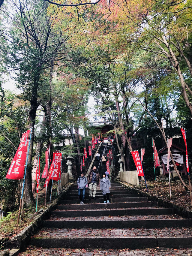 【京都・山科】  知る人ぞ知る絶景寺院「毘沙門堂門跡」で、静かで美しい京都時間を🍁🌸