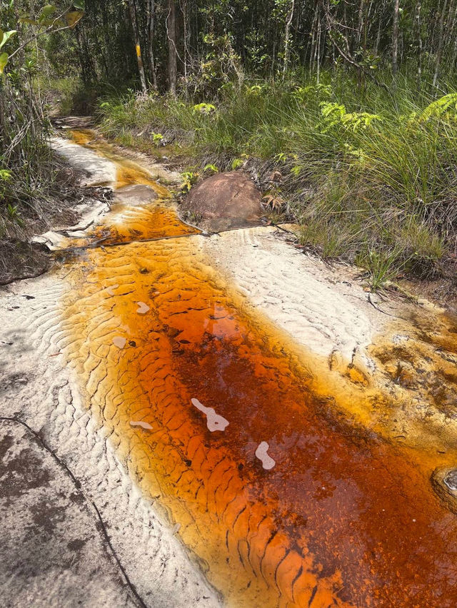 Bako National Park