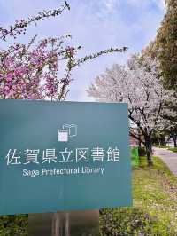 Where Books Meet Blossoms: A Quiet Spring Escape at Saga Prefecture Library
