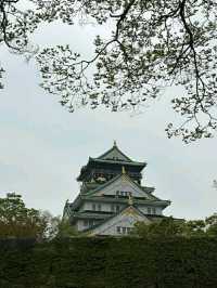 Osaka Castle Park: A Historic and Scenic Urban Retreat