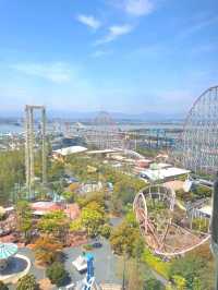 일본에서 제대로 호캉스 보내기🎡