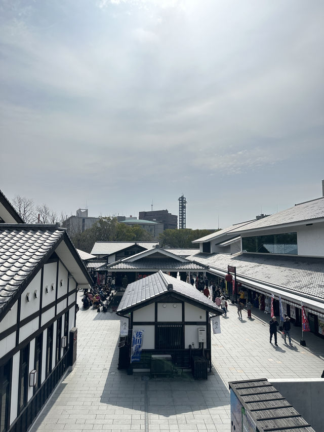 Kumamoto castle in japan 🇯🇵