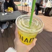 夏に飲みたい！シュワっと爽やかなレモネード専門店🍋🥤