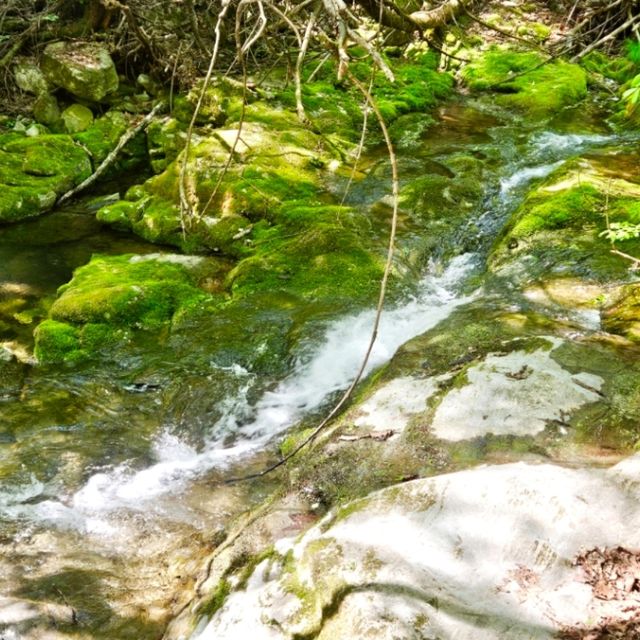 한강의 첫 시작점💚[태백 검룡소]