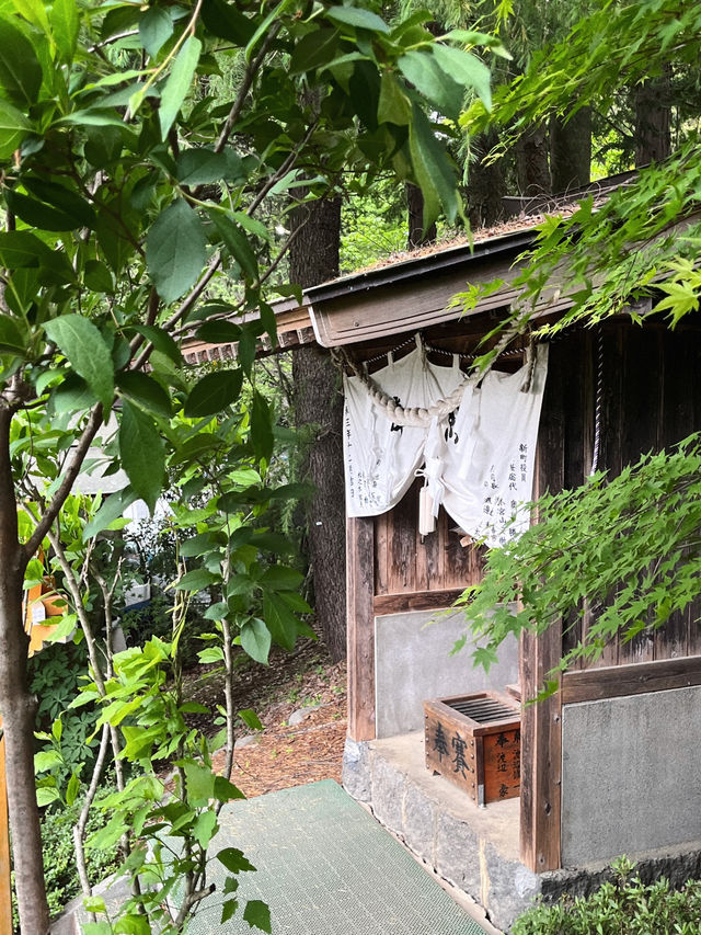 후지산 유명 스팟 다녀와봄👀