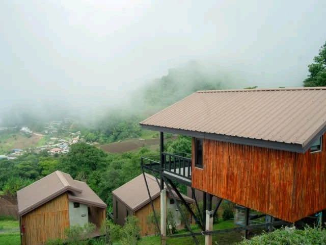 บ้านภูหมอก" ที่พักบนดอยม่อนแจ่ม จ.เชียงใหม่กับวิว 