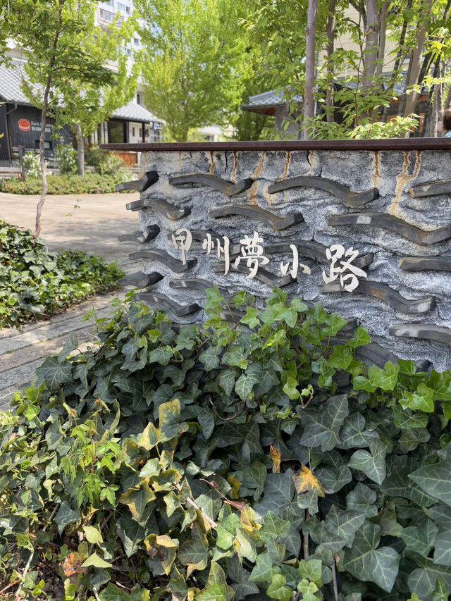 歴史もグルメも満喫！武田神社→甲州夢小路→蒙古タンメンランチ