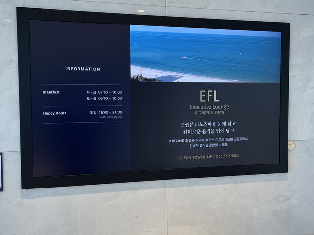 시원한 바다 뷰를 볼 수 있는 강릉 세인트존스호텔 골져스 오션 트윈룸🌊