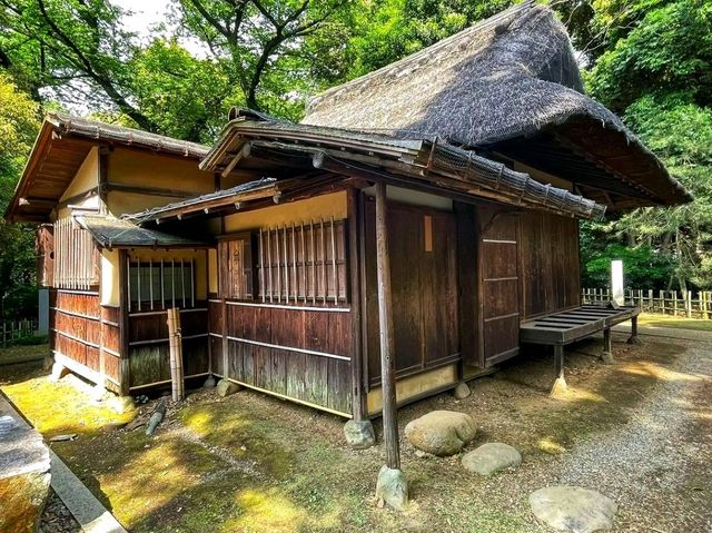 Tokyo National Museum: Where Japan’s Treasures Live On