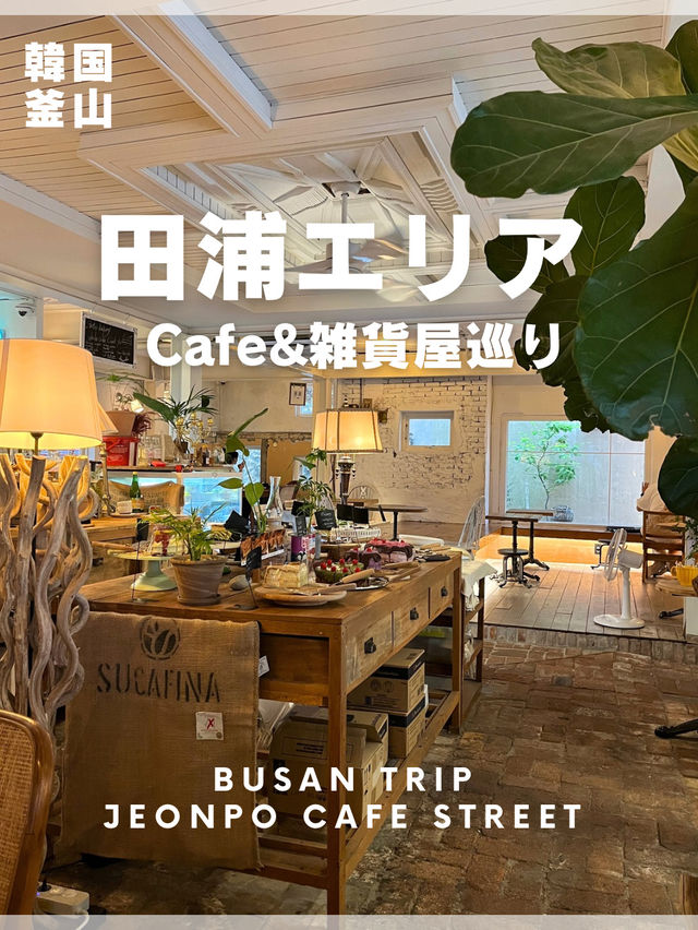 田浦エリア（カフェ・雑貨屋巡り）