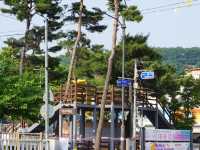 공주 원도심 1코스 미션 완료했어요!🏃 코스 돌며 도시 감성 느끼기