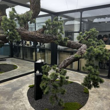 ソウル・アングクエリアお土産🛍️ | Trip.com ソウル