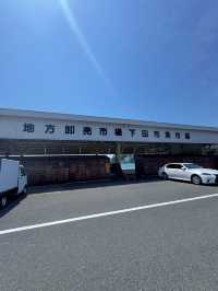 【伊豆下田】遊覧船にも乗れちゃう🚢道の駅で海鮮三昧