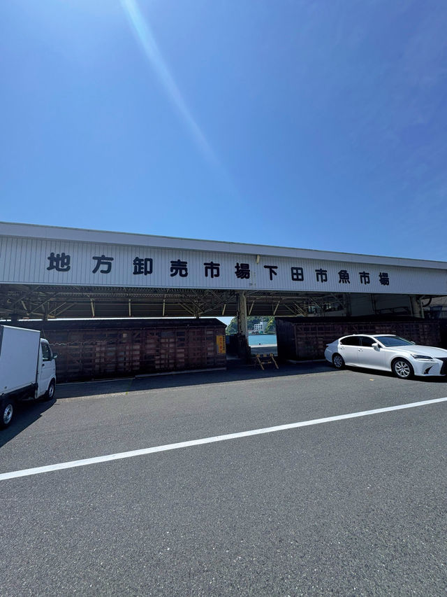 【伊豆下田】遊覧船にも乗れちゃう🚢道の駅で海鮮三昧