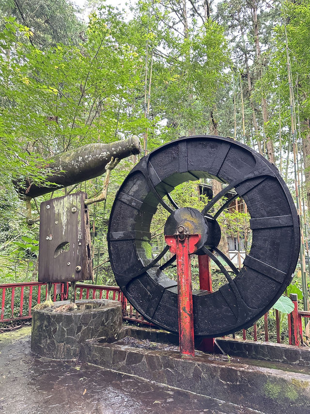 台灣南投溪頭妖怪村半日遊