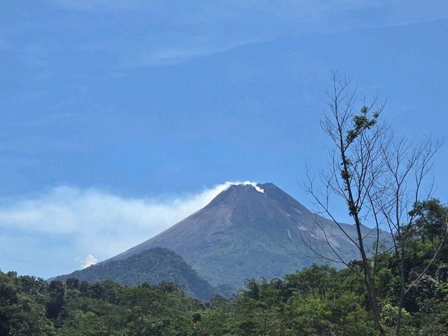 Jogja