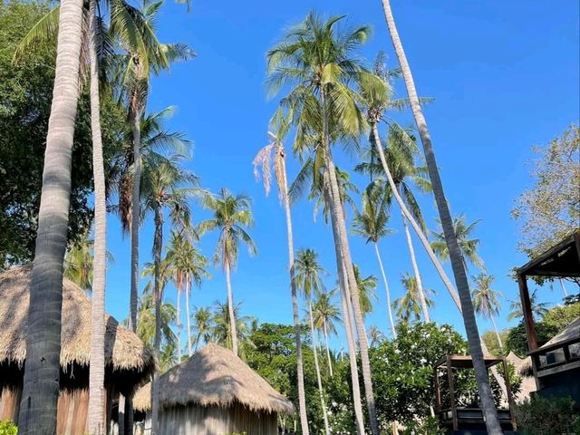 haad tien beach resort