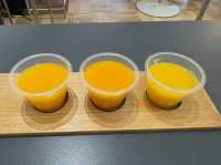 일본 마쓰야마(Matsuyama) 100% 즐기는 코스🍊