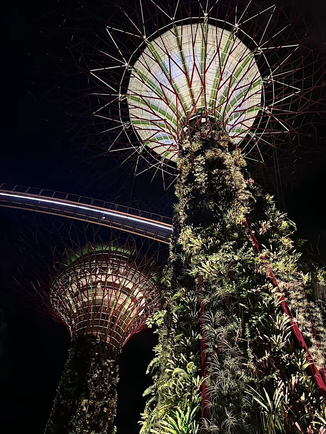 สิงคโปร์🇸🇬