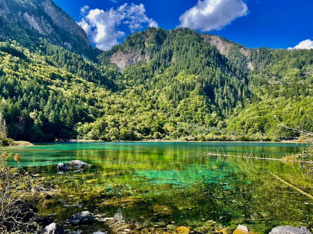 九寨溝➕甘南🇨🇳 夢幻水景與藏地風情的奇妙組合❗️