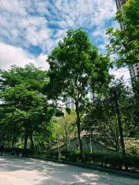  香港單車館公園｜城市綠洲的打卡熱點