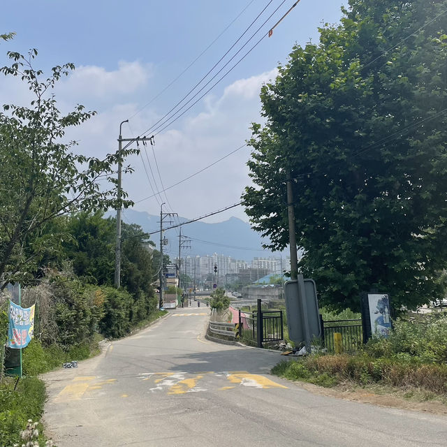 🏕️ 서울 글램핑의 새로운 매력, 무수아취에서 만난 힐링 데이 ☀️